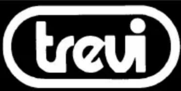Trevi SB 8340 SW - ■ Usuarios de la información de conformidad con el Decreto Legislativo N° 49 del 14 de marzo 2014 "Aplicación de la Directiva 2012/19/UE sobre residuos de aparatos eléctricos y electrónicos (RAEE)" - 1