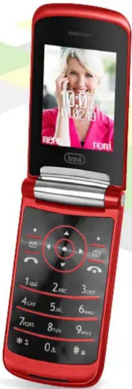 Trevi FLEX 50 GT - SIMPLIFIED EU DECLARATION OF CONFORMITY - 1