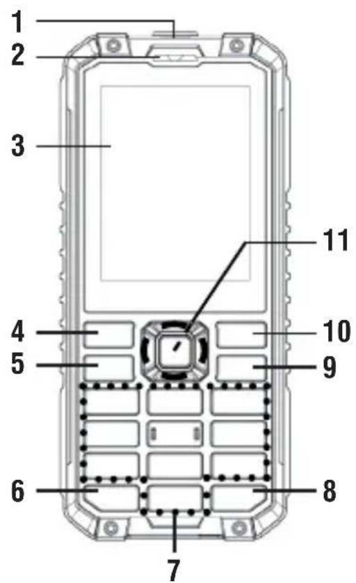 Trevi Forte PLUS - Under the rubber protection - 1