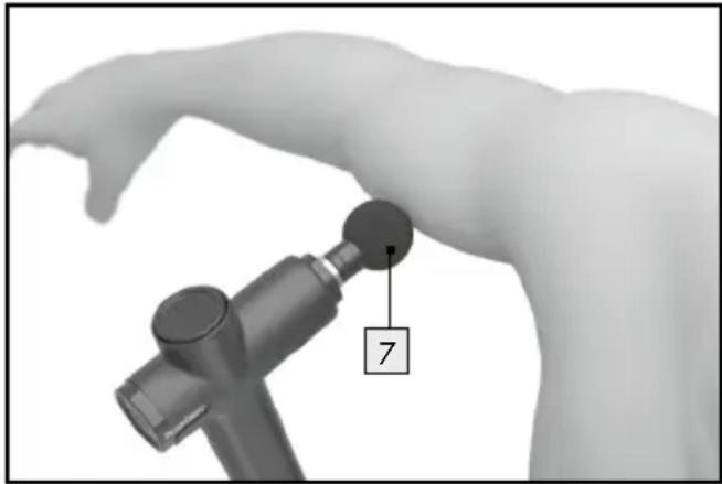 SILVERCREST SCMG 45 - Arms, thighs, Achilles tendon and soles of the feet - 1