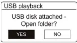 USB playback USB disk attached - Open folder? YES NO