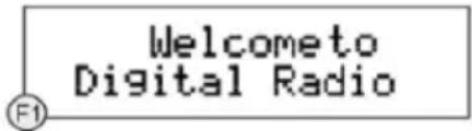 Auna Silver Star CDDAB - INHALT - 1