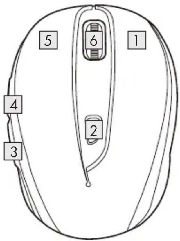 SILVERCREST SFM 4 C4 - Bouton Avant - 1