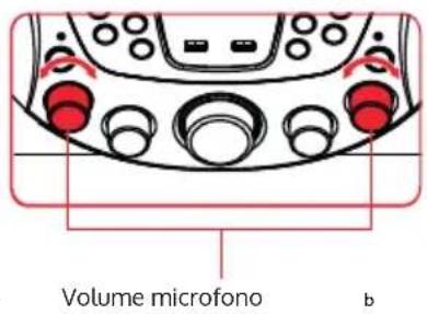 Auna KaraBig LightUp MKII - Utilizzare i microfoni (nel volume di consegna è incluso 1 microfono) - 2