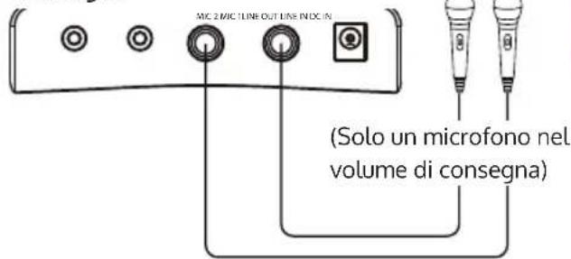 Auna KaraBig LightUp MKII - Utilizzare i microfoni (nel volume di consegna è incluso 1 microfono) - 1