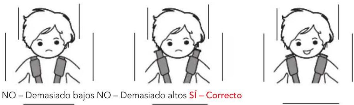 Foppapedretti Mydrive - COMPROBACIÓN DE LA ALTURA DE LOS TIRANTES - 1