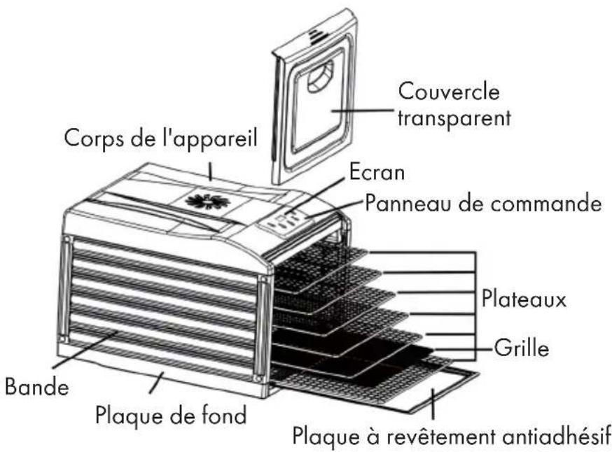 Corps de l'appareil Couvercle transparent Ecran Panneau de commande Plateaux Grille Bande Plaque de fond Plaque à revêtement antiadhésif