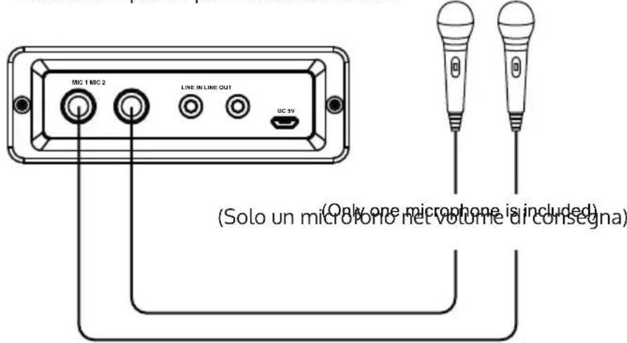 Auna Rockstar LightShow - Utilizzare i microfoni (nel volume di consegnà è incluso 1 microfono) - 1