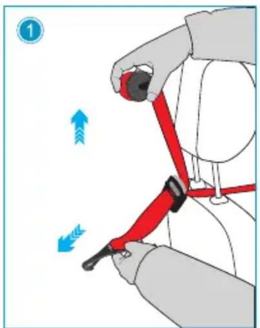 Foppapedretti Flash - EΓΚΑΤΑΣΤΑΣH TOP TETHER - 1