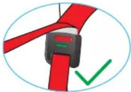 Foppapedretti Flash - EΓΚΑΤΑΣΤΑΣH TOP TETHER - 5
