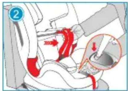 Foppapedretti Flash - REMOVIDING THE 5-POINT HARNESS - 2