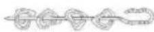 Klarstein VitAir Smart - Skewer insert (not included with delivery) - 5
