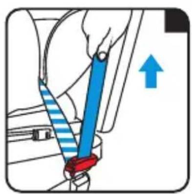 Foppapedretti Iturn duoFIX - Installation with 3-point seat belt - 3
