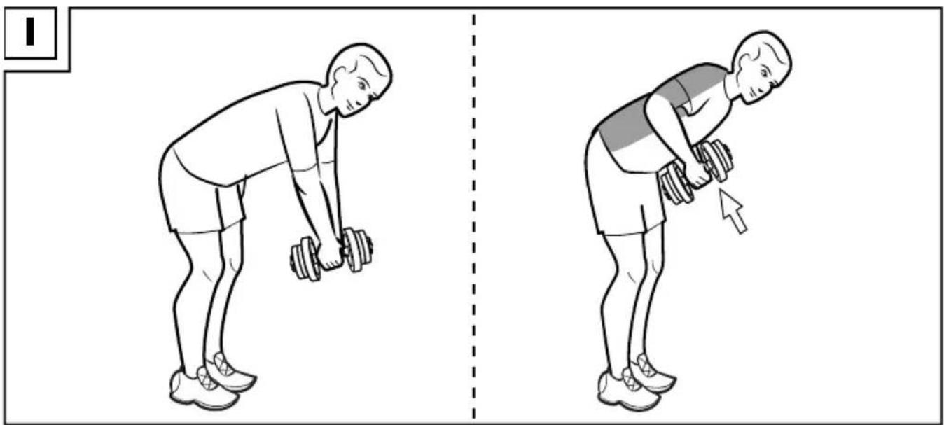 CRIVIT IAN 375774 - KURZHANTEL-SET, 10 KG 10KG DUMBBELL SET SET D'HALTÈRES COURTS, 10 KG - 2