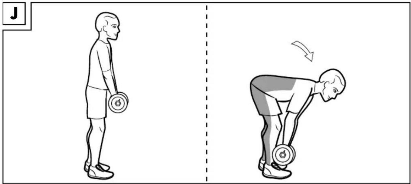 CRIVIT IAN 375774 - KURZHANTEL-SET, 10 KG 10KG DUMBBELL SET SET D'HALTÈRES COURTS, 10 KG - 3