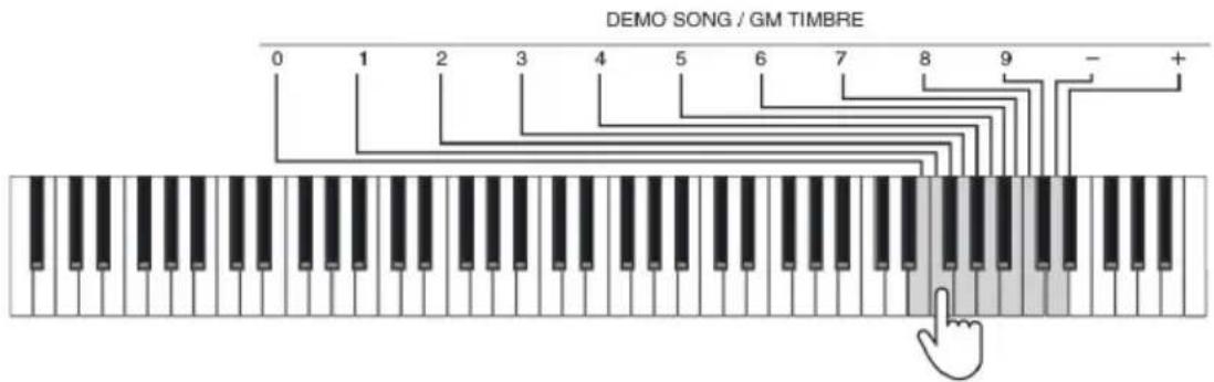Schubert Preludio - Riprodurre demo - 2