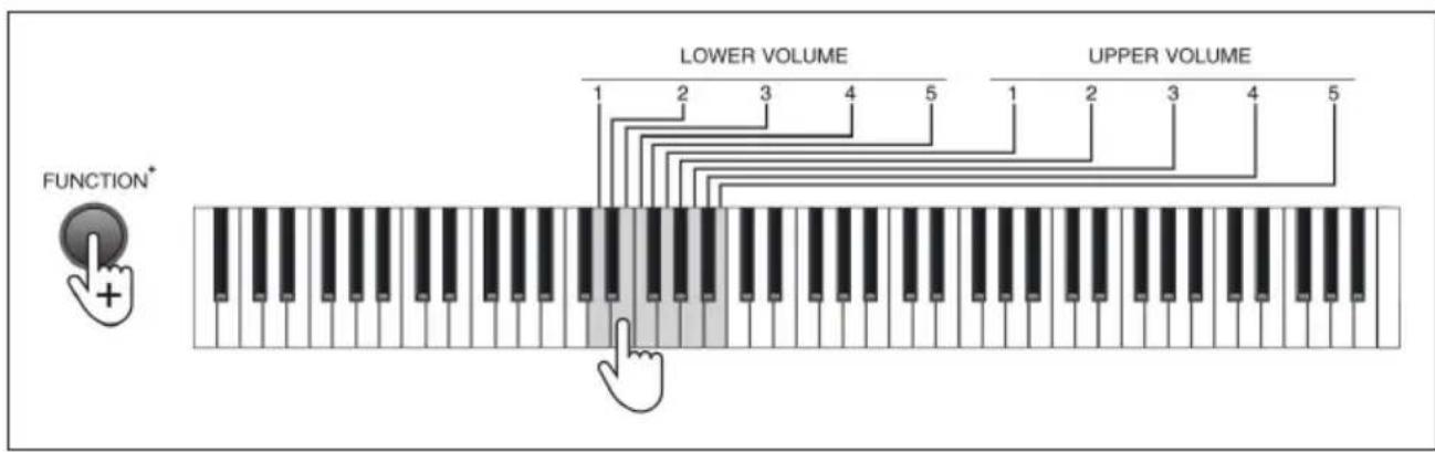 Schubert Preludio - Dual timbre - 1