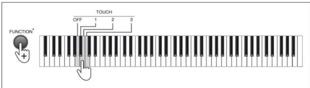 Schubert Preludio - Sensibilidad al tacto (Touch) - 1