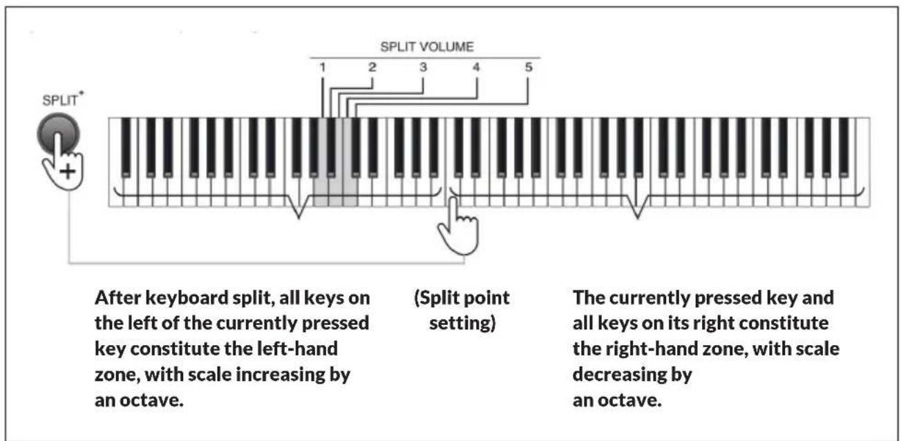 Schubert Preludio - Split - 1
