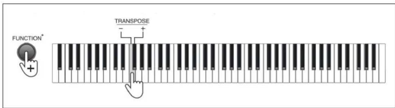 Schubert Preludio - Transpose - 1