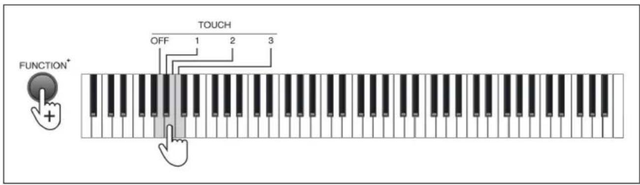 Schubert Preludio - Pressione del tasting (Touch) - 1