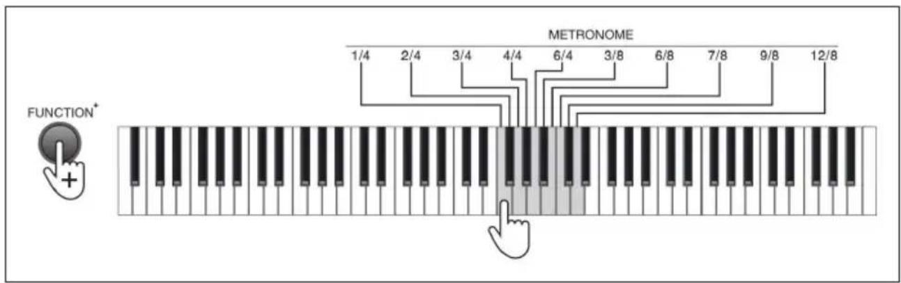 Schubert Preludio - Metronom (Taktvorgabe) - 1