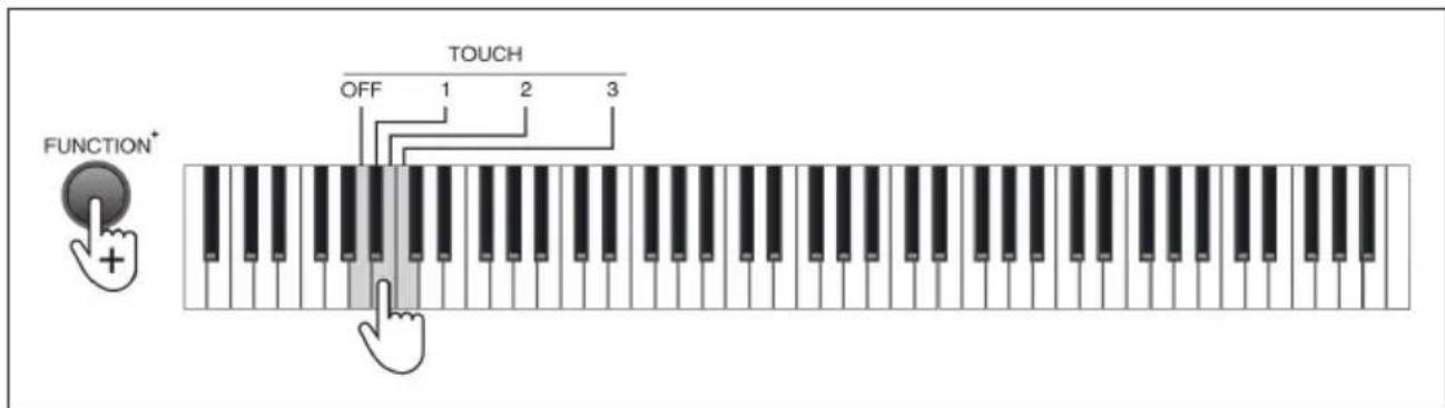 Schubert Preludio - Velocité (Touch) - 1