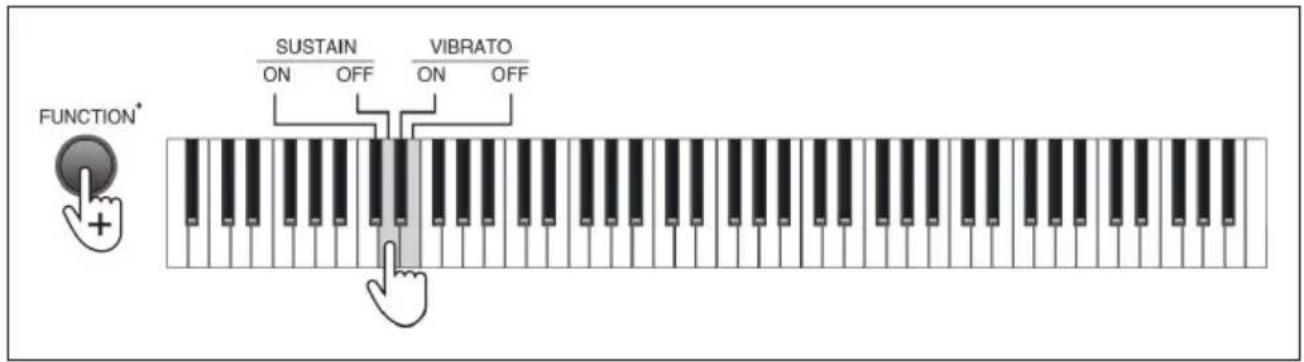 Schubert Preludio - Vibrato - 1