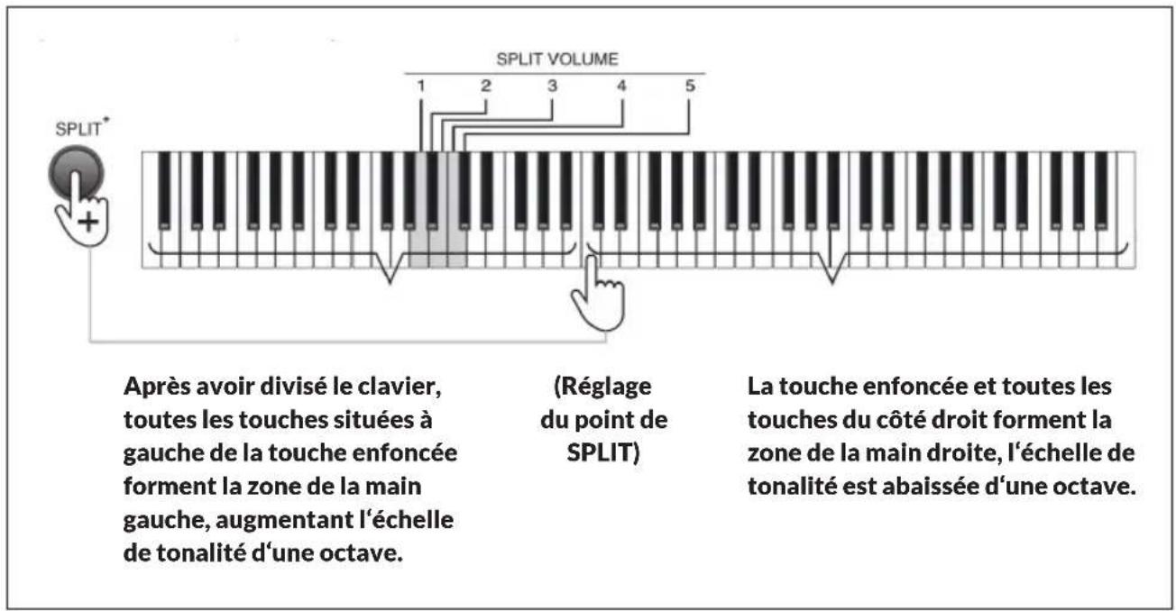 Schubert Preludio - Division (Split) - 1