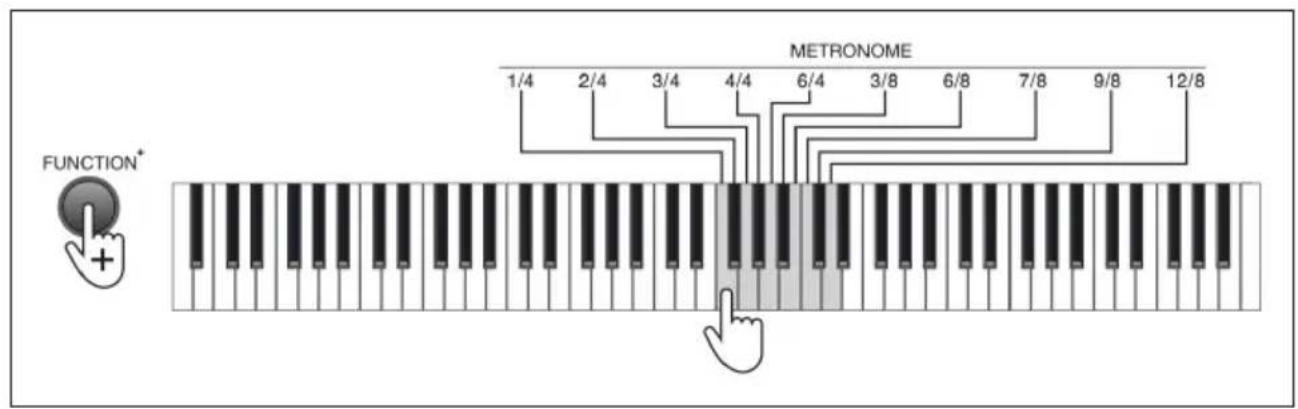 Schubert Preludio - Metronome - 1