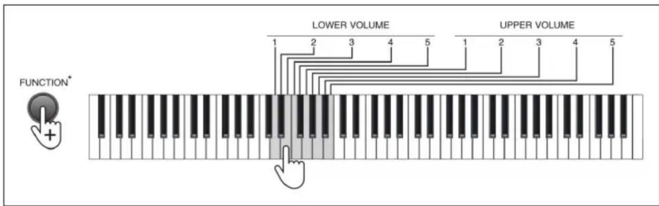 Schubert Preludio - Timbro doppio (Dual Timbre) - 1