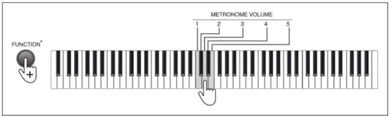 Schubert Preludio - Volume du métronome - 1