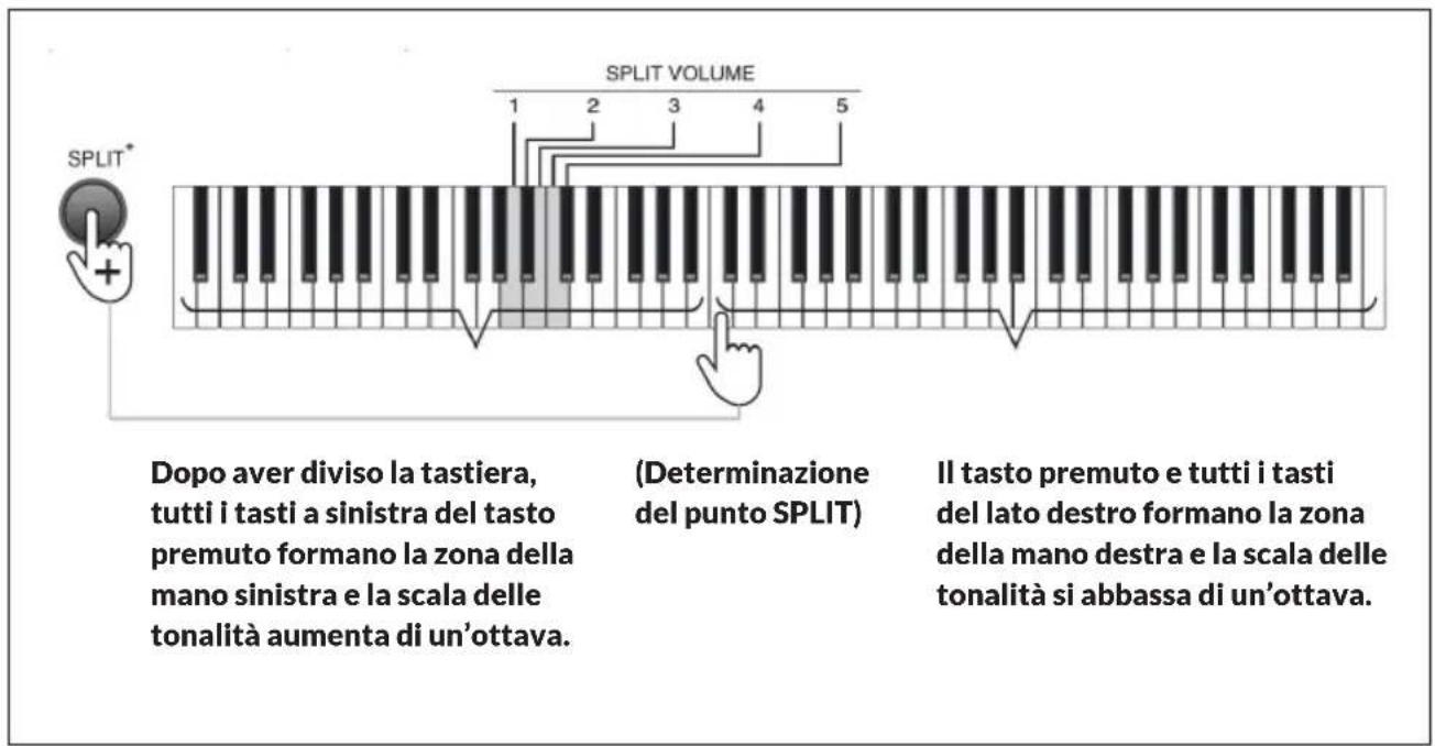 Schubert Preludio - Dividere (Split) - 1
