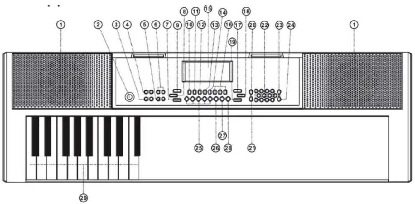 Schubert Etude 255 LCD - PANORAMICA - 1
