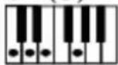 Schubert Etude 255 LCD - Transposing function - 11