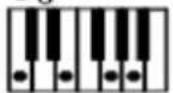Schubert Etude 255 LCD - Transposing function - 5