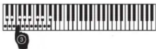 Schubert Etude61B - Auto Rhythm - 5