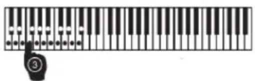 Schubert Etude61B - Rythme auto - 5