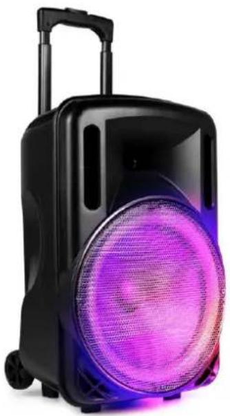 Fenton FT15LED - FT15LED portable system - 1