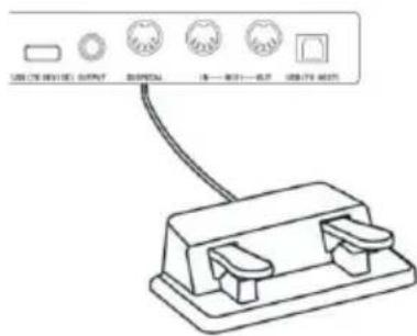 Schubert Subi88 Harmony - Connessione di dispositivi USB - 2