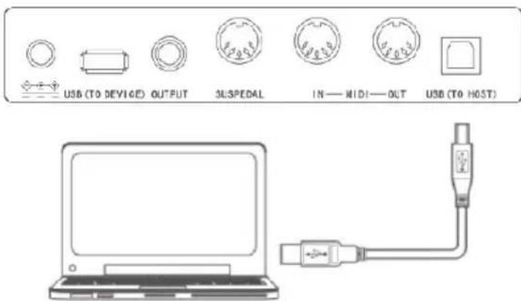 Schubert Carnegy61 - Collegamento con amplificatori o impianti HiFi - 2