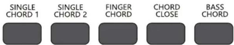 Schubert Carnegy61 - Acorde de graves - 1