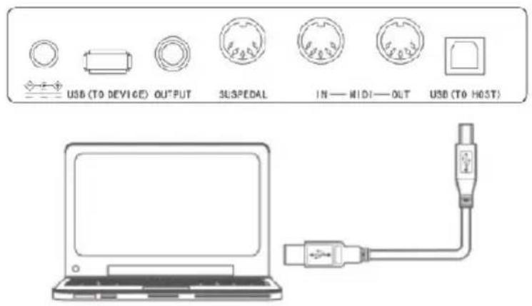 Schubert Carnegy61 - Conector USB(MIDI) - 1