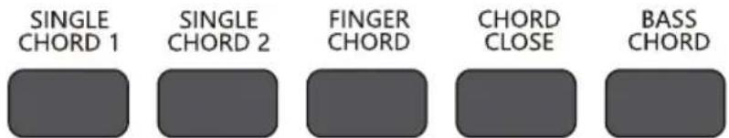 Schubert Carnegy61 - Accord de basse - 1