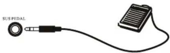 Schubert Carnegy61 - Use of Pedal Sustain - 1