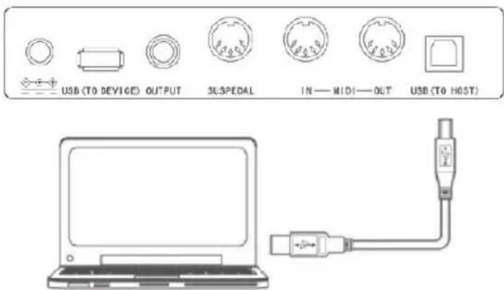 Schubert Carnegy61 - USB(MIDI) Jack - 1