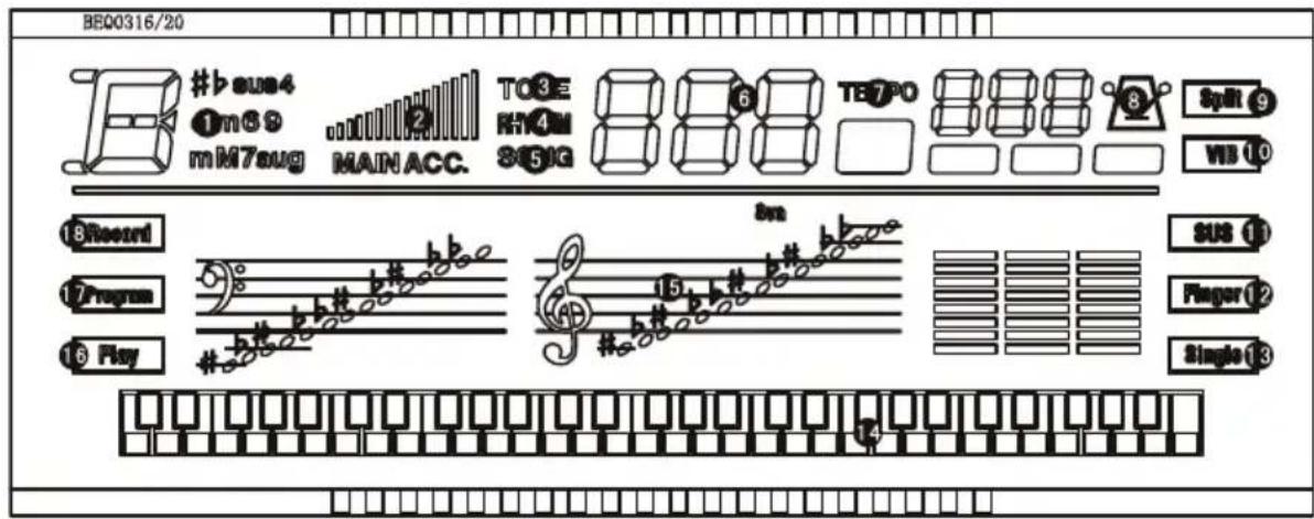 Schubert Carnegy61 - EXTERNE - 2