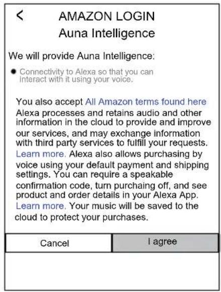 Auna Intelligence Radio - < AMAZON LOGIN - 1