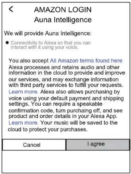 Auna Intelligence Radio - Sign in - 1