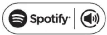 Auna IR260 - Il vostro nuovo dispositivo è dotato di Spotify Connect - 1